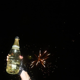 Chestita Nova Godina 2012