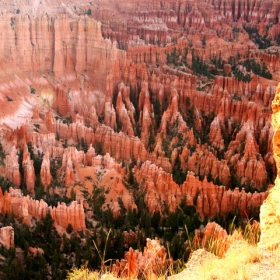 Bryce Canyon NP