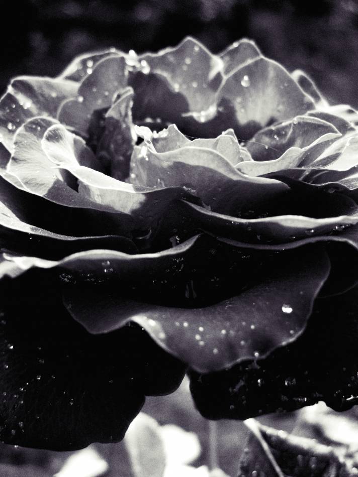 bring me to life....