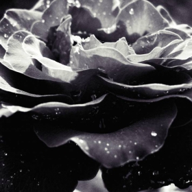 bring me to life....
