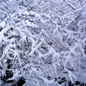 Леко снежно