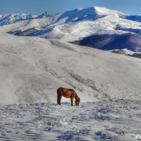 пред първенците на Стара планина вр.Амбарица, вр. Купена, вр. Ботев