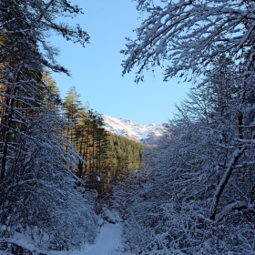 Старопланински пейзаж 3