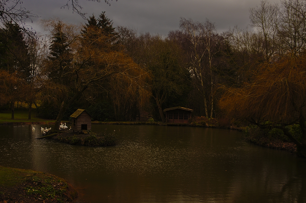 surrey ,england