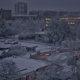 моето снежно утро 26.01.2012