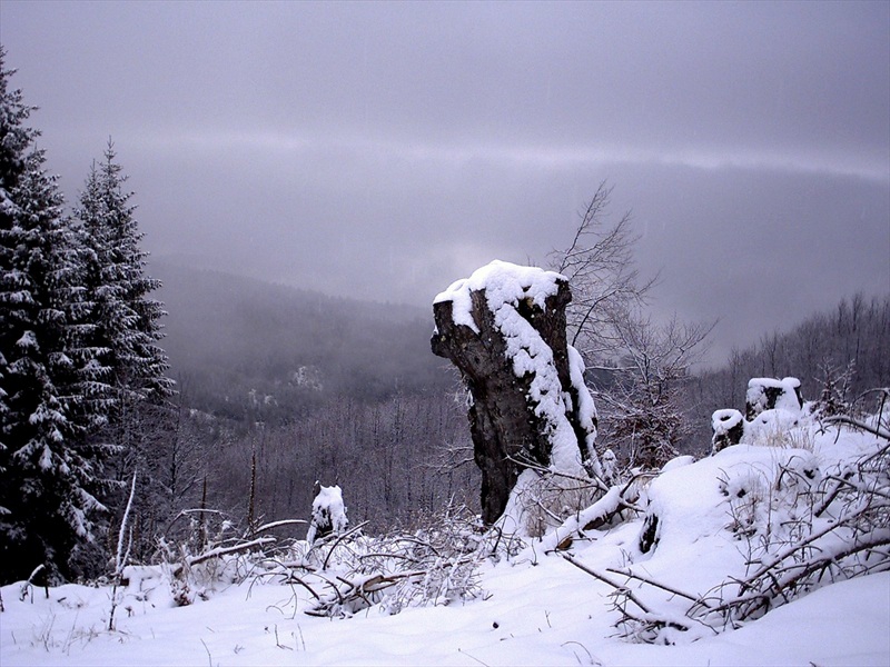 Снежно