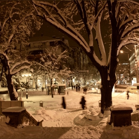 Снимка без име