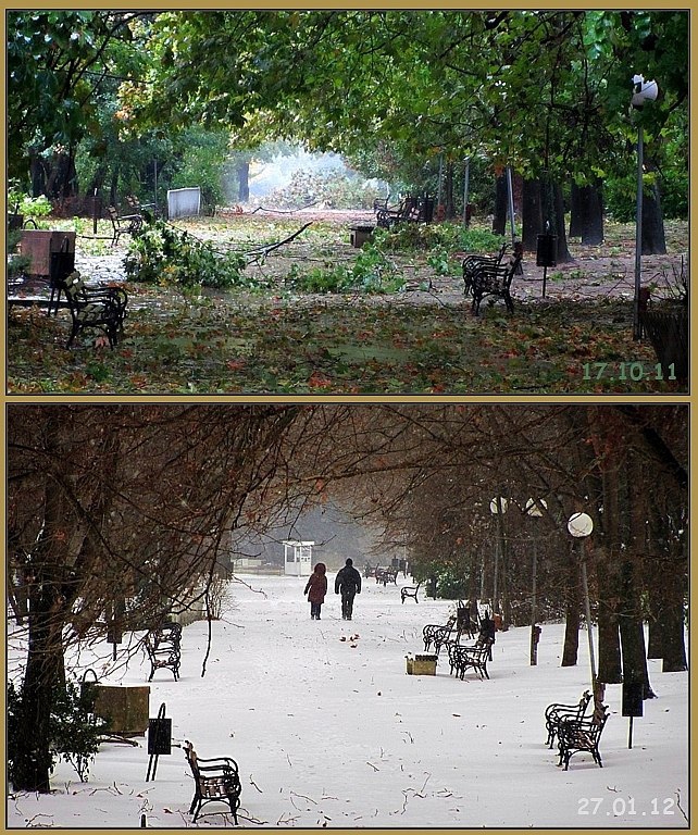 Из Морската градина