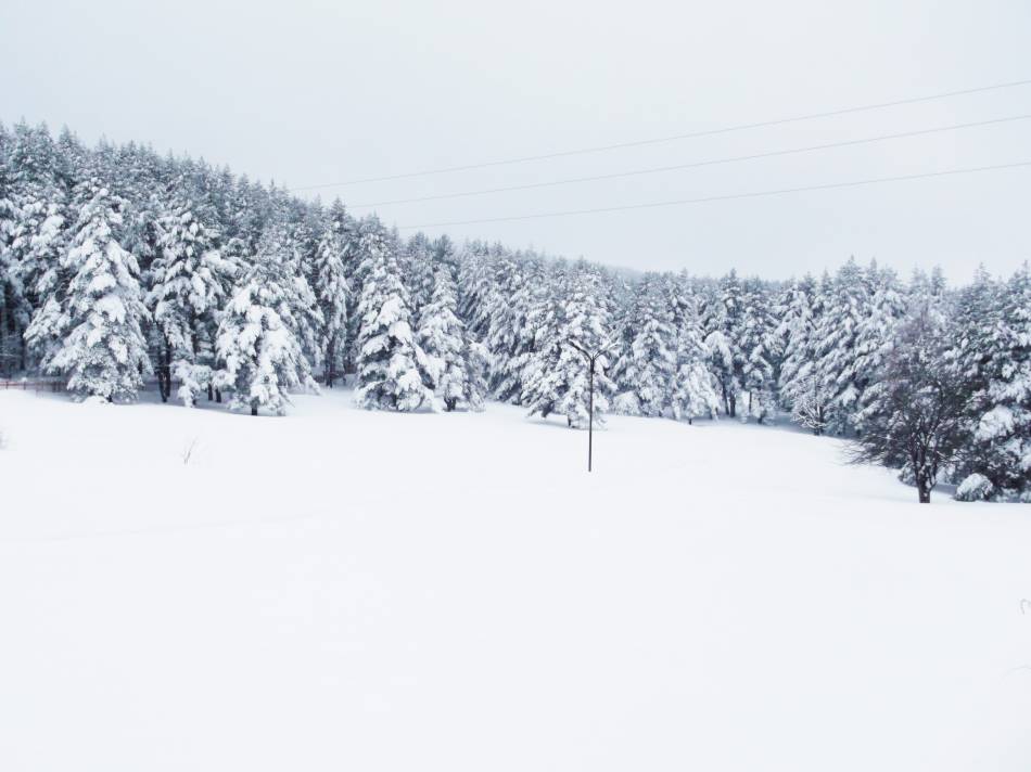 Хижа Здравец 3