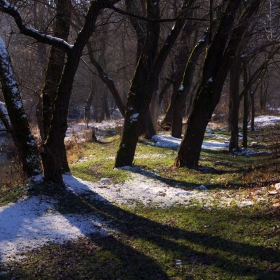 Русенски Лом