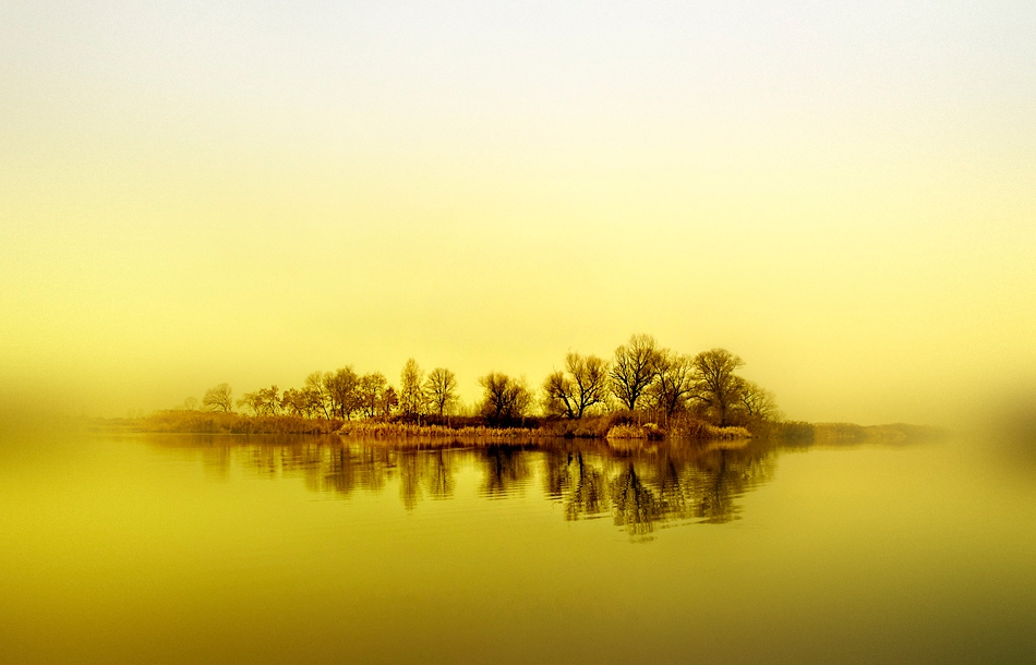 .yellow.