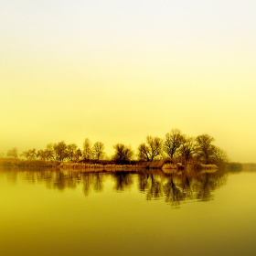 .yellow.