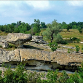 Скалната гъба при с.Бенковски