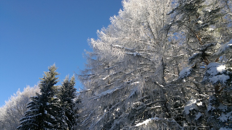 winter