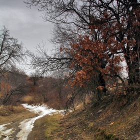 Разходка в мрачно време