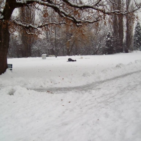 весело е в снега