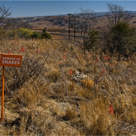 Пред изхода на Sterkfontein cave - с колко опасности е изпълнен животът в Африка през последните няколко...милиона години :)