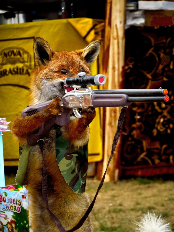 Да не си му на мушка!