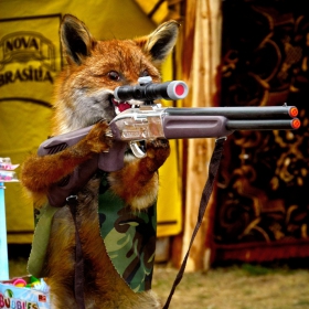 Да не си му на мушка!