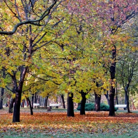 Есен в парка