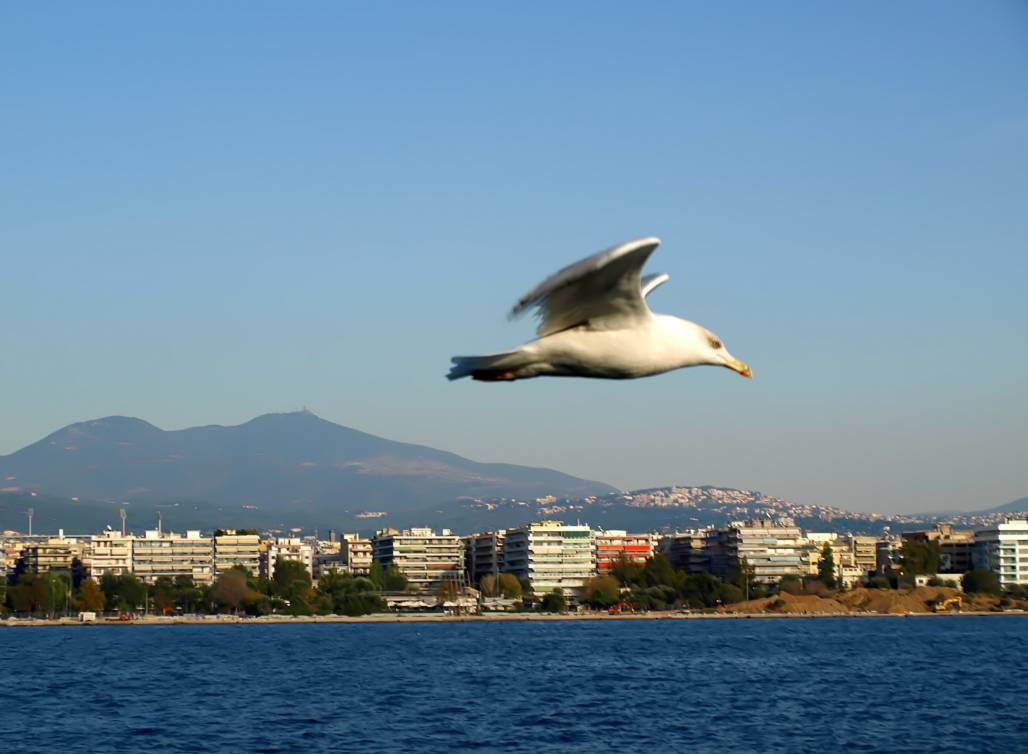 FLY two