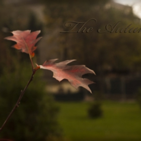 the autumn