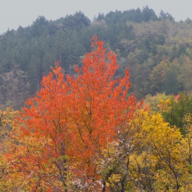 есенно