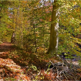 Туристически маршрути - Rock Creek Park