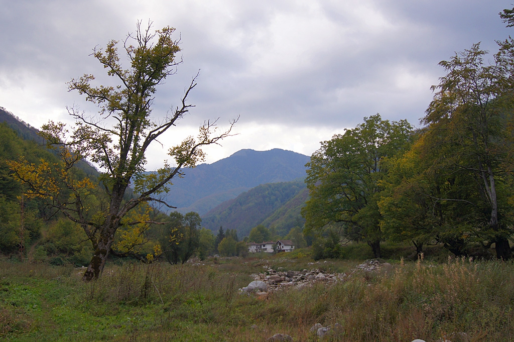 Край с.Рибарица