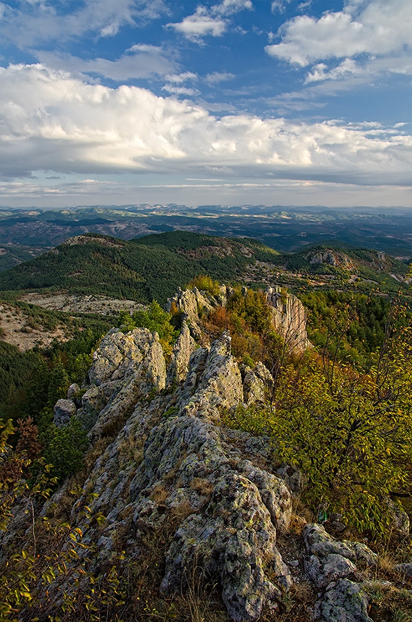 Устра