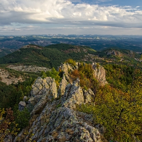 Устра