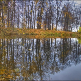 Огледално