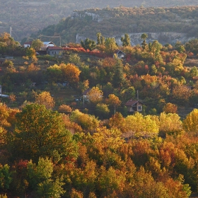 Вилна зона