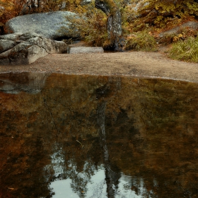 Есенни ФОТО разходки