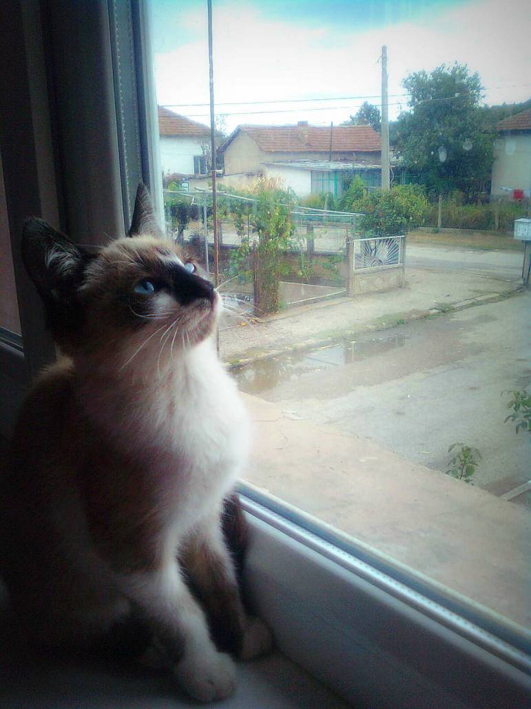 Сандра: И къде изчезнало слънцето? ;((((