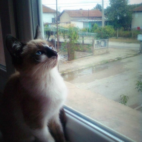 Сандра: И къде изчезнало слънцето? ;((((