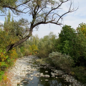 Есенно