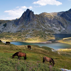 Близнакът и Харамията 2465м