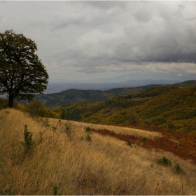 есенно,намръщено