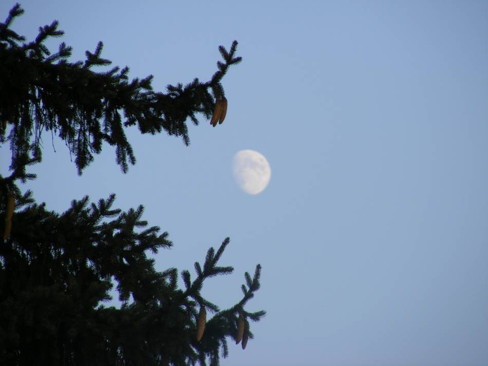 Moon