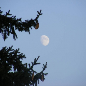 Moon