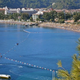 Кедри, слънце и море