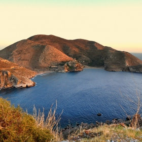 the Cove
