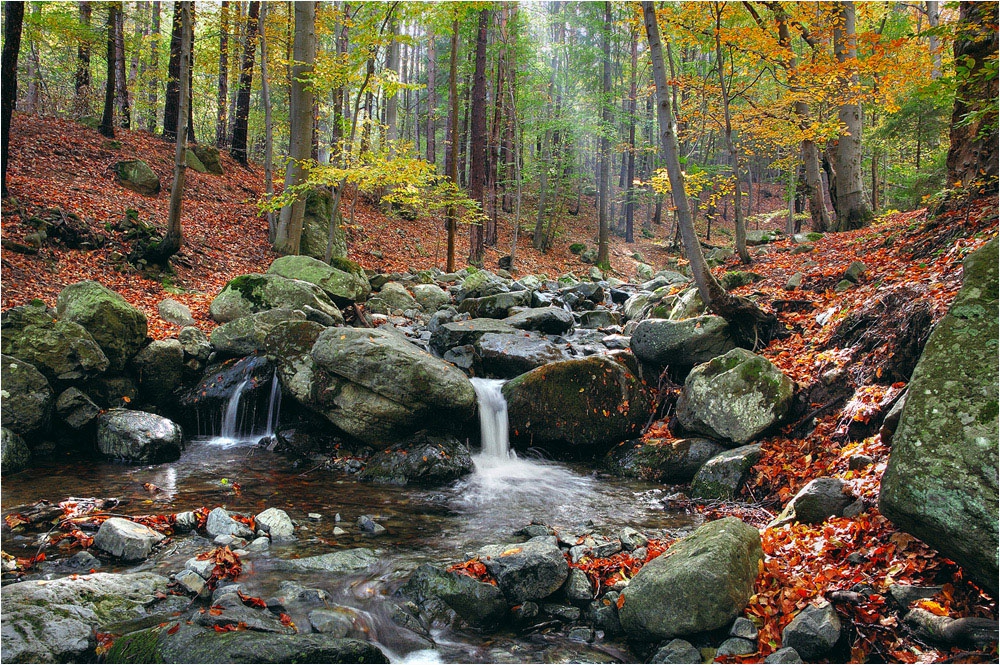 Есенно