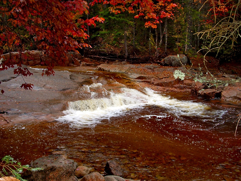 Vermont's famous foliage