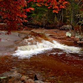 Vermont's famous foliage