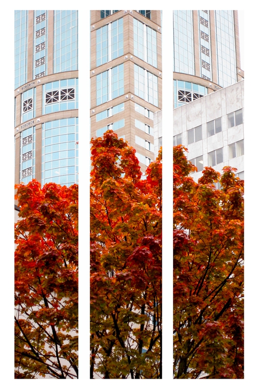 Seattle in the fall