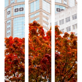 Seattle in the fall