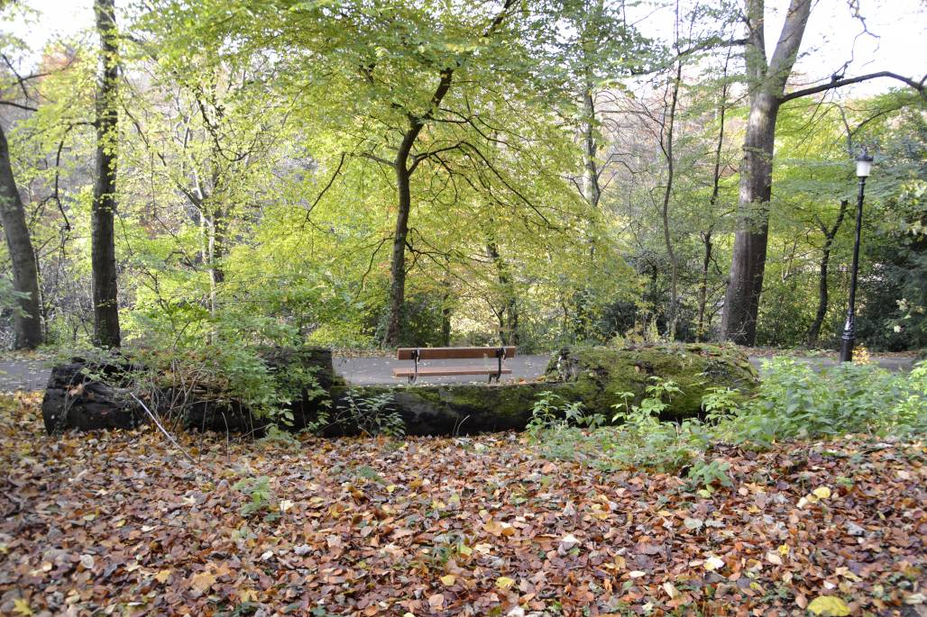Durham park