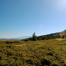 Есенна Витошка панорама - 2